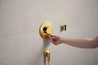 Змішувач прихованого монтажу Hansgrohe Ecostat Comfort S золото 33715990