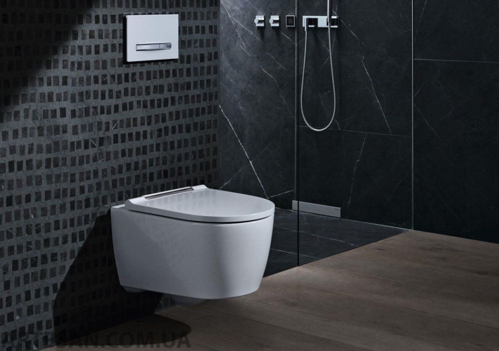 Унітаз підвісний Geberit One Rimfree 500.201.01.1 з сидінням soft-close