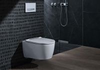 Унітаз підвісний Geberit One Rimfree 500.201.01.1 з сидінням soft-close