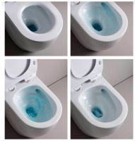 Унітаз підвісний ArtCeram File 2.0 TheReel FLV006 01;00 з сидінням Soft Close