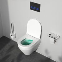 Унітаз підвісний Am.Pm Spirit V2.0 AquaSpin CSB1900SC із сидінням Soft Close