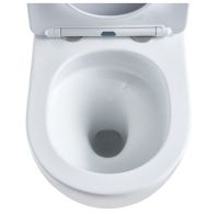 Інсталяція Geberit Duofix 458.103.00.2 з клавішею Delta50 чорний матовий + Унітаз підвісний Devit Flow Vortex Flush DFL0460111W з сидінням Soft Close