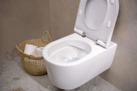Унитаз подвесной Hansgrohe EluPura S белый глянцевый 60193450