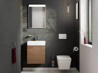 Раковина подвесная Hansgrohe Xanuia Q 50 см белый глянцевый 60233450