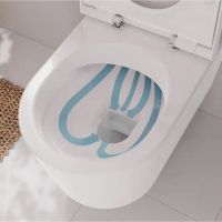 Унітаз підвісний Hansgrohe EluPura S білий глянцевий 60292450 з сидінням SoftClose