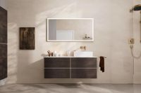 Раковина підвісна Hansgrohe Xevolos E 50 см білий глянцевий 61091450