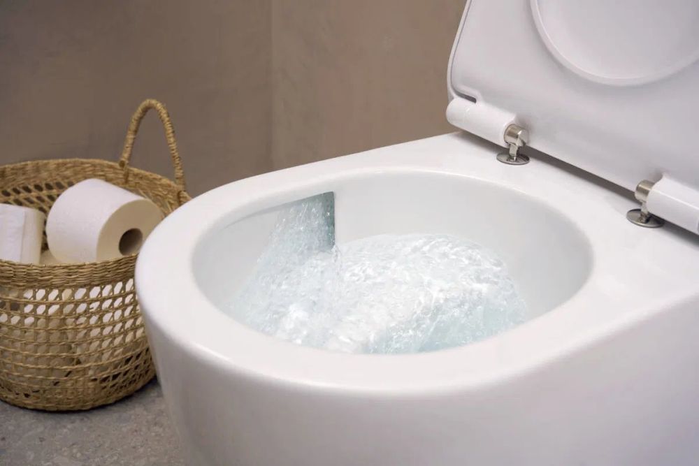 Унитаз подвесной Hansgrohe EluPura S белый глянцевый 61114450
