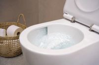 Унитаз подвесной Hansgrohe EluPura S белый глянцевый 61114450
