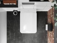 Унітаз підвісний Hansgrohe EluPura Q білий глянцевий 61117450 з сидінням SoftClose