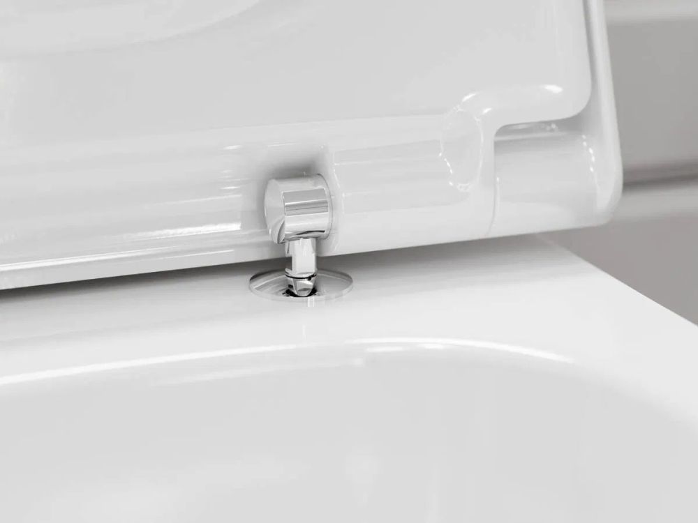 Унітаз підвісний Hansgrohe EluPura Q білий глянцевий 61117450 з сидінням SoftClose