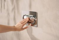 Клавіша змиву Hansgrohe iFrame Original S хром 66002000