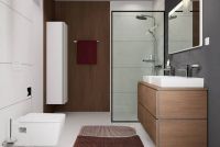 Клавіша змиву Hansgrohe iFrame Original Q білий матовий 66001700