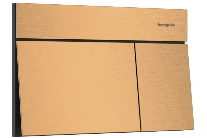 Клавіша змиву Hansgrohe iFrame Element E бронза 66003140