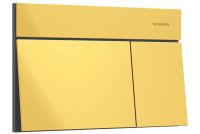 Клавиша смыва Hansgrohe iFrame Element E золото 66003990