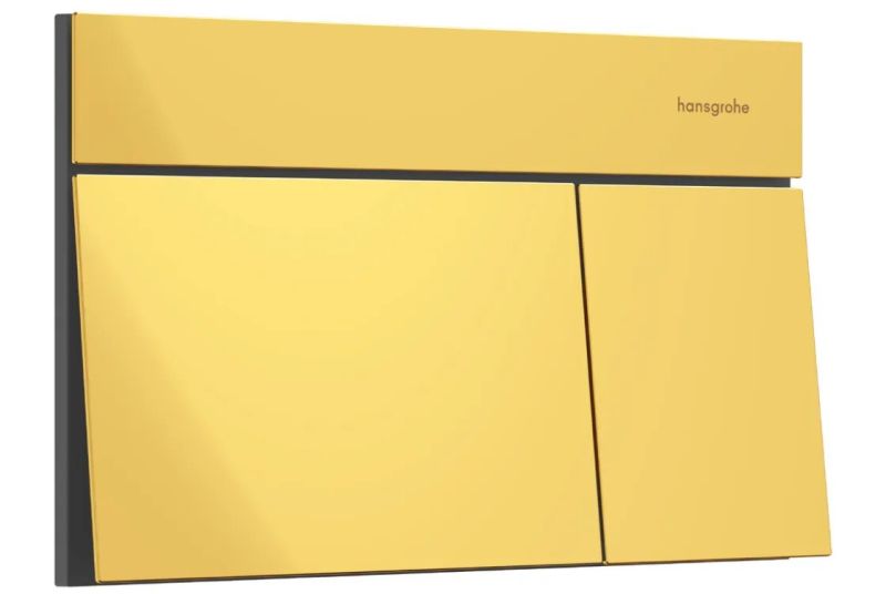 Клавіша змиву Hansgrohe iFrame Element E золото 66003990