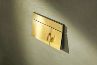 Клавиша смыва Hansgrohe iFrame Element E золото 66003990
