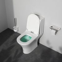 Унитаз напольный Am.Pm Flash FlashClean CNA8600SC с бачкои и сиденьям Soft Close