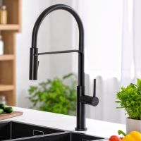 Змішувач для кухні Imprese BOA чорний матовий f03401410US
