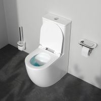  Унитаз напольный Am.Pm Like Aquaspin CLA8600SC с бачком и сиденьем Soft Close