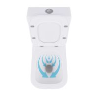 Унітаз підлоговий Qtap Crow білий глянцевий QT05222170W з бачком і сидінням Soft-close